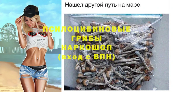 a pvp Пересвет