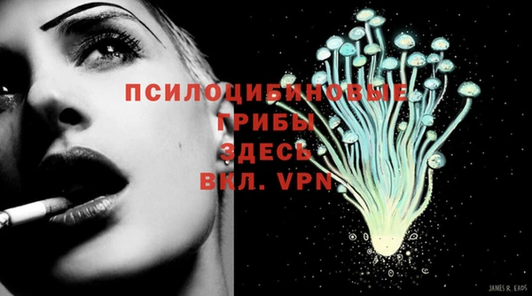 каннабис Покачи