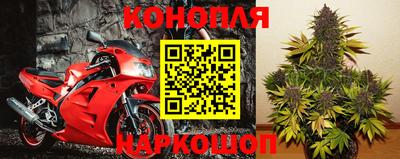 прущие грибы Балашиха