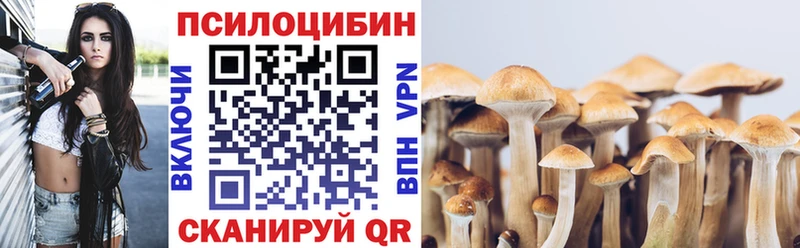 маркетплейс Telegram  Большой Камень  Псилоцибиновые грибы MAGIC MUSHROOMS  цена наркотик 