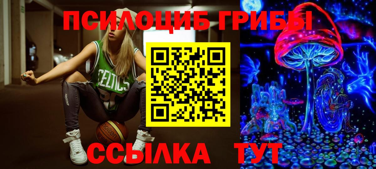 Псилоцибиновые грибы MAGIC MUSHROOMS  Вход с VPN  Большой Камень 