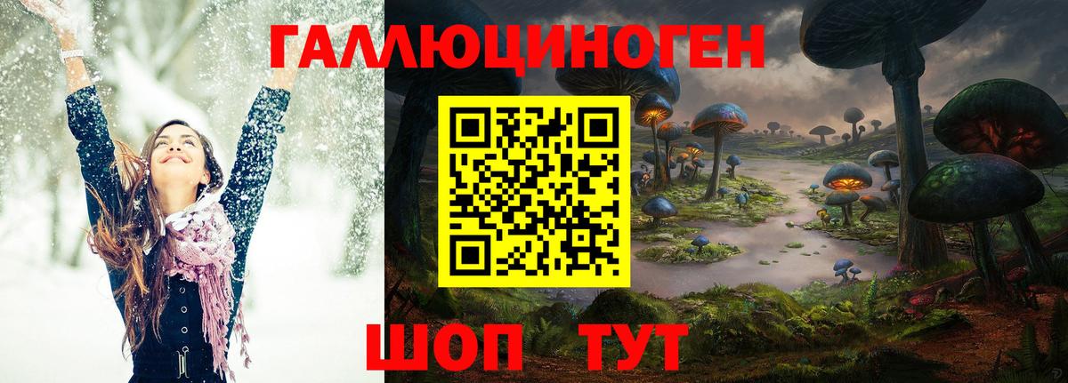 Галлюциногенные грибы Cubensis Большой Камень